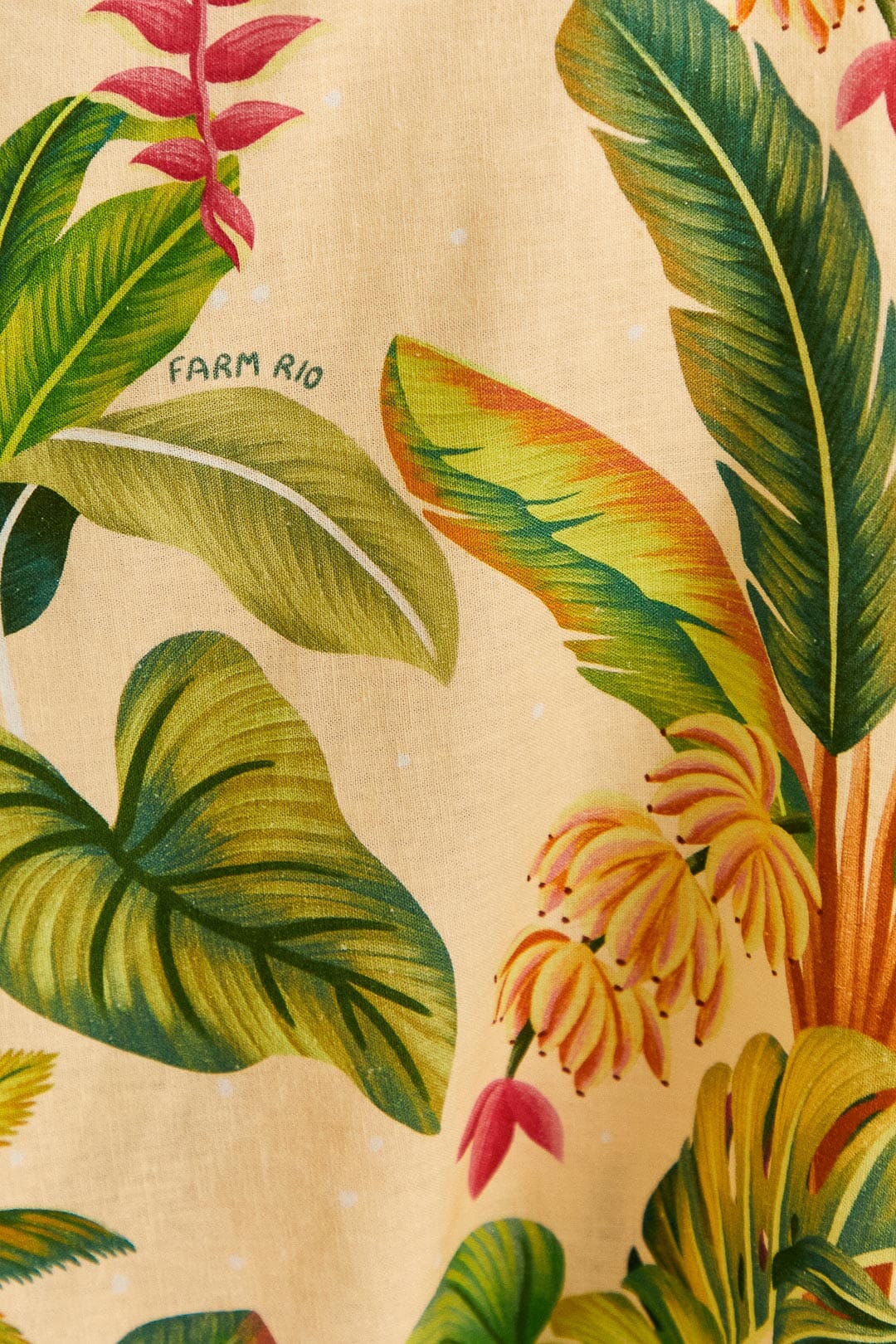 フルーツフォレストザンドドレス