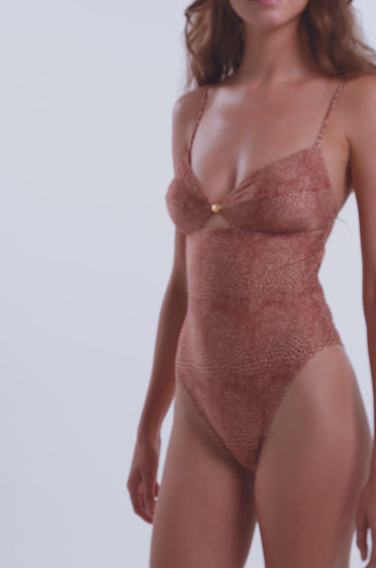 ランダムドットグレイシーマイオ