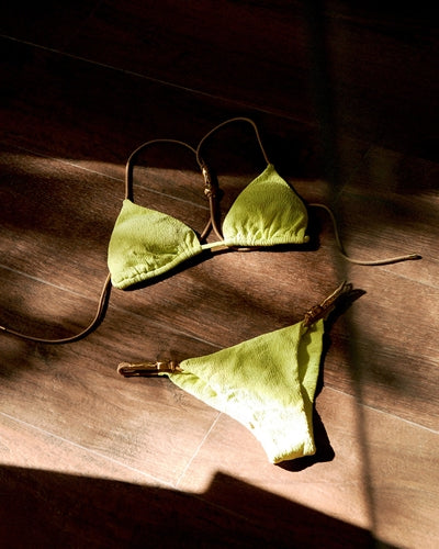 リソフィレンツェナンシーIバック